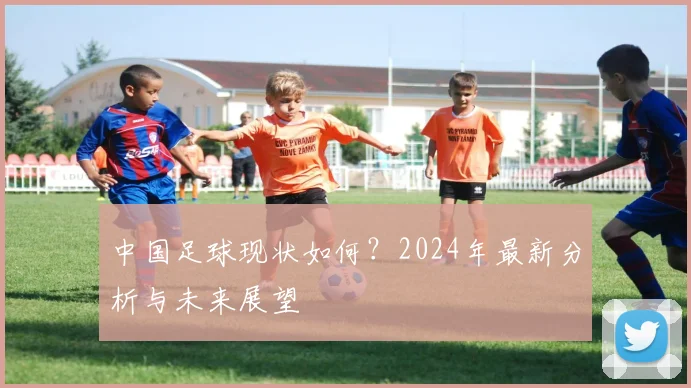 中国足球现状如何？2024年最新分析与未来展望