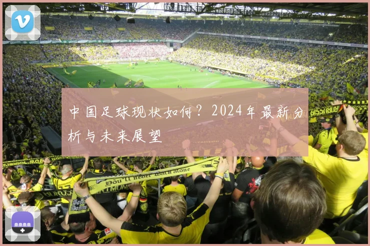 中国足球现状如何?2024年最新分析与未来展望