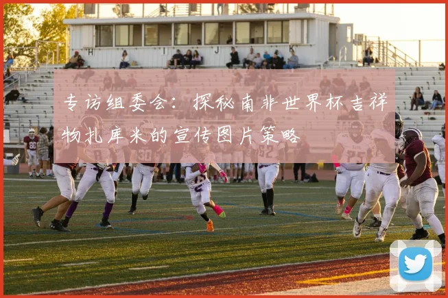 专访组委会：探秘南非世界杯吉祥物扎库米的宣传图片策略