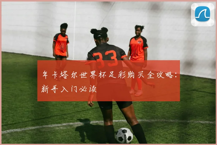 年卡塔尔世界杯足彩购买全攻略：新手入门必读