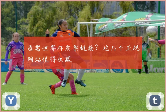 急需世界杯购票链接？这几个正规网站值得收藏