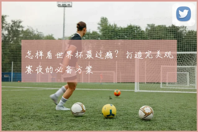 怎样看世界杯最过瘾？打造完美观赛夜的必备方案