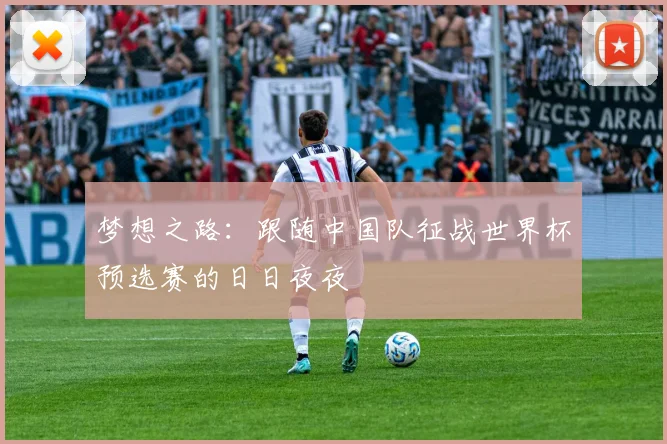 梦想之路：跟随中国队征战世界杯预选赛的日日夜夜